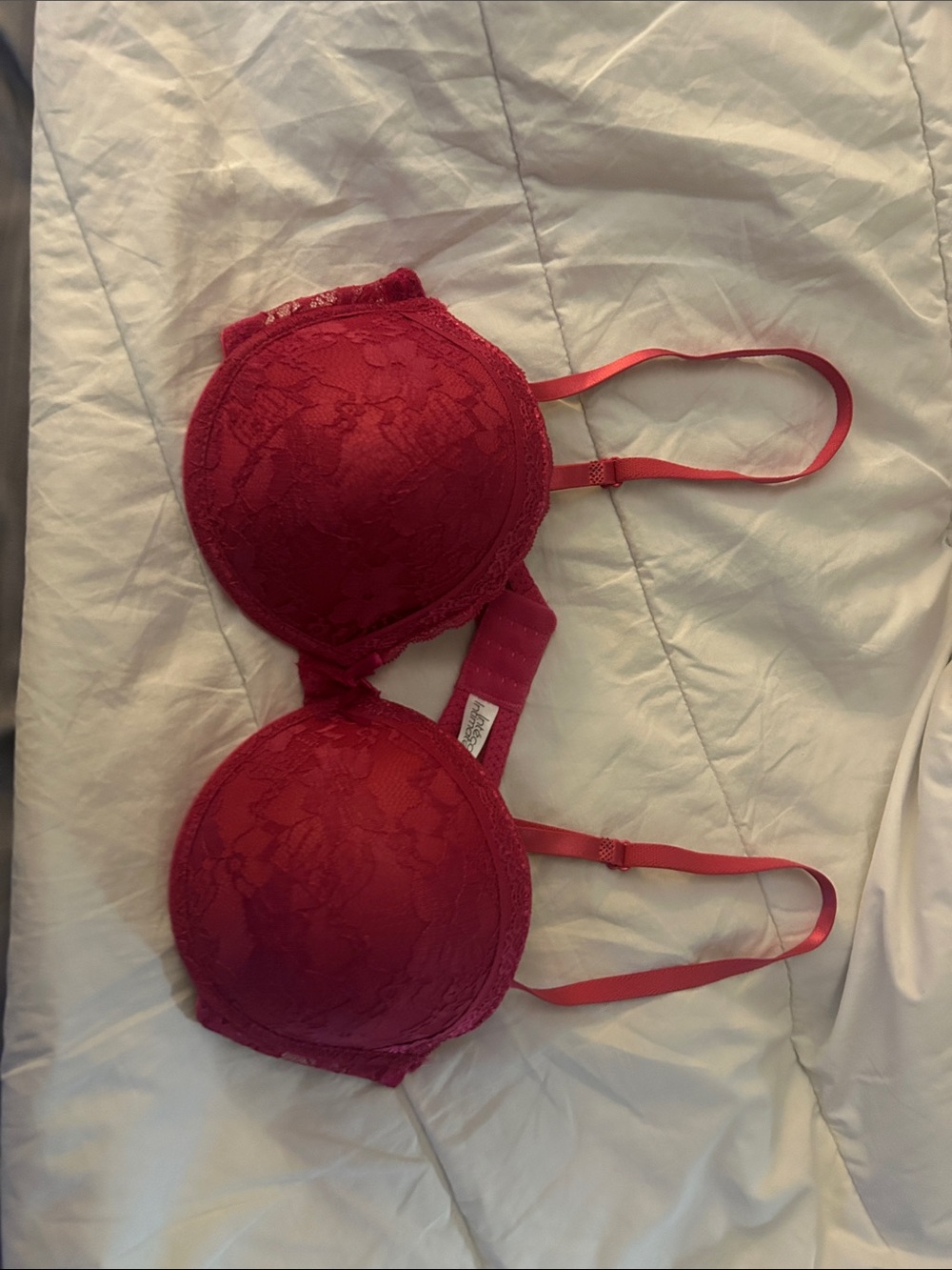 Woman Within Lace Push-Up Bra in Deep Red